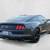 2015 Ford Mustang EcoBoost Premium 5 thumbnail