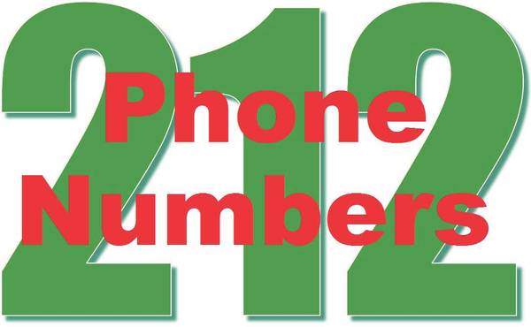 Assets Sale & 3 Sequential Area Code 212 Phone Numbers! 1