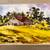 Lewis Suzuki Framed Watercolor - Rural Barn Scene 1 thumbnail