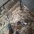 MOLD REMOVAL CLEANSING 13 thumbnail
