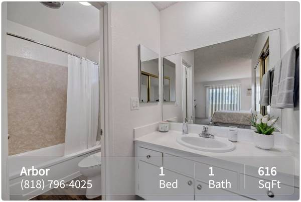 $2,004 / 1br - 616ft2 - Stay cool with in-unit ceiling fans! Now renting at The Arbor! (Studio City)63840112469507122
