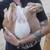 Tamuk Rabbits 1 thumbnail
