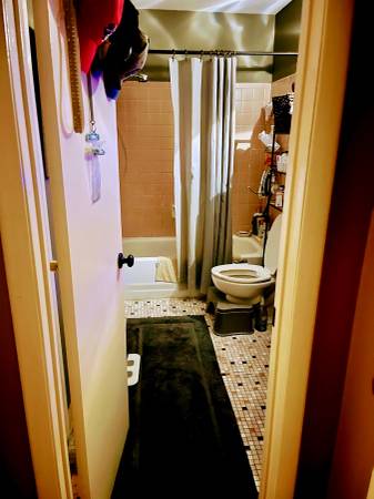 $160 / 2br - 25ft2 - Fully Furnished Room (Homewood)63985793728130123