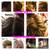 Hairstylist/Cosmetologist/Makeup Artist/& Much More!!!… 8 thumbnail