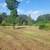 MULCHING, DEBRIS REMOVAL, BUSH HOGGING AND LAND CLEARING 8 thumbnail