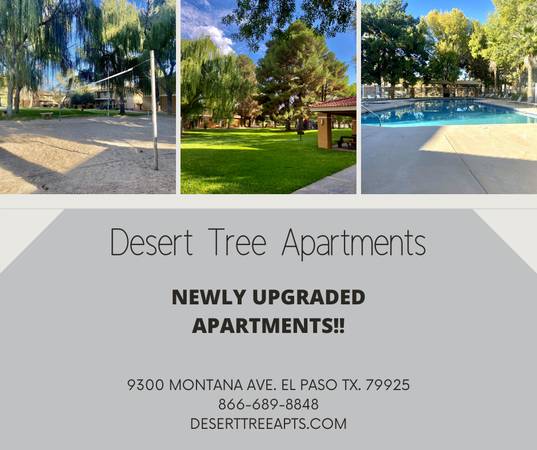 REDUCED PRICES! LIMITED TIME ONLY! 1