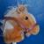 "Yippee Ki-Yay!" 2 New Hobby Horses 4 thumbnail