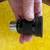 Vintage telescope 6” Edmund Scientific reflector 16 thumbnail