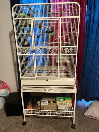 Bird cage and extras 1