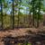 5+ Acres | Fulton County, AK | Under $300/mo 3 thumbnail