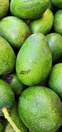 Avocados for sale 1