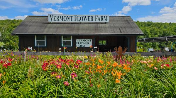 $450,000 / 413ft2 - Flower Farm For Sale! (Marshfield)63976978722306120