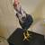 Rooster 3 thumbnail