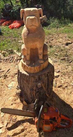 Cedar Chainsaw carving 1