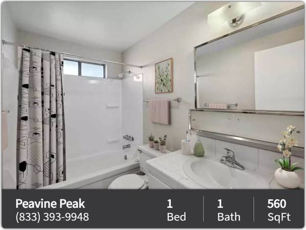 Ready to make a move? Our 1 BR, 560 Sq Ft is calling. 1