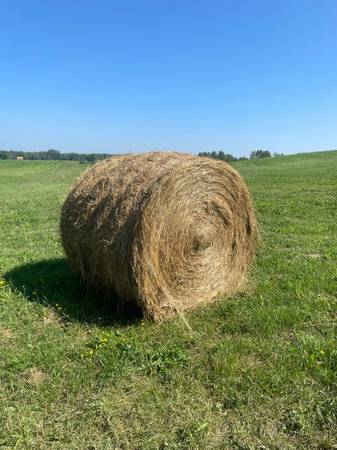 Hay for sale 1