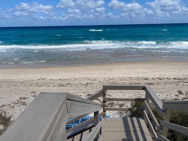 PERMITTING AGENT& PERSONAL ASSISTANT 1