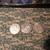 New Zealand And The Pacific Coin Collection 2 thumbnail
