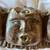 Vintage Cherub wind blower hand crafted wood Mexican Folk Art 2 thumbnail