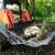 Root Rakes attachment for skid steer loader 1 thumbnail