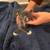 Ragdoll mixes 6 thumbnail