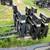 BLANK PLATES BUILD,  ATTACHMENTS FULL SIZE & MINI SKID STEER LOADERS 9 thumbnail