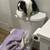Rehoming Bunny! 10 thumbnail