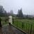 Hillsboro Seller Carry Property - 6500sqft House on a  3.2 Acre Lot 3 thumbnail