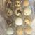 Coturnix quail 2 thumbnail