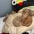Kittens 1 thumbnail