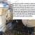 21 foot pontoon boat 70 HP motor with trailer 4 thumbnail