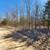 15.5 Acres- Beautifully Wooded 3 thumbnail