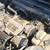 1990 Buick Lesabre 3.8 v6 Auto, All power, Runs Great 10 thumbnail