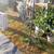 Rancho Cordova yard sale 4 thumbnail