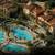 Marriott Newport Coast Villas Dec.28, 2025 to Jan. 4, 2026 8 thumbnail