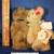 Retired Boyds Bears Collection 8 thumbnail