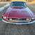 1968 Ford Mustang GT S390 4 Speed Fastback 5 thumbnail