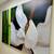 MOVING MUST SELL!!!  XL CANVAS PRINTS with FRAMES 15 thumbnail