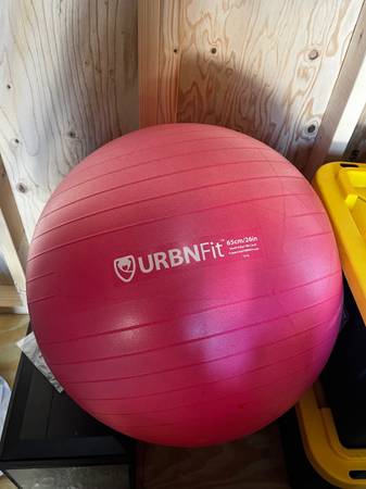 Pink exercise ball 1