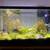 Aquascape 1 thumbnail