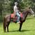 Walking Horse Broke to Ride - Jade 1 thumbnail