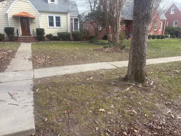 Rake and remove leaves 1