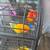 Sun conures 3 thumbnail