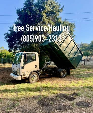 Tree Service/Hauling 1