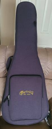 Martin soft shell case 1