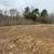 14 Acres only 1/2 mile from Barren River State Park 4 thumbnail