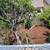 GORGEOUS HOUSE FULLY RENOVATED, GARAGE, SS APPLS, CENTRAL AC, VIEWS, 24 thumbnail