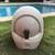 Litter Robot 3 Automatic Self Cleaning Cat Litter Box 4 thumbnail