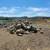 Rip Rap and Landscape Boulders: 1/4 ton - 1/2 ton Boulders 7 thumbnail