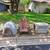 Dogloo, Dog Crate, Rocker, etc. 1 thumbnail